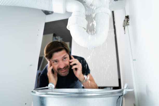 Best Emergency Plumber  in Oglesby, IL