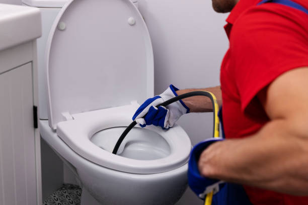 Best Clogged Drain Plumber  in Oglesby, IL